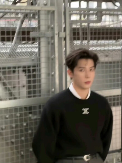 王安宇
