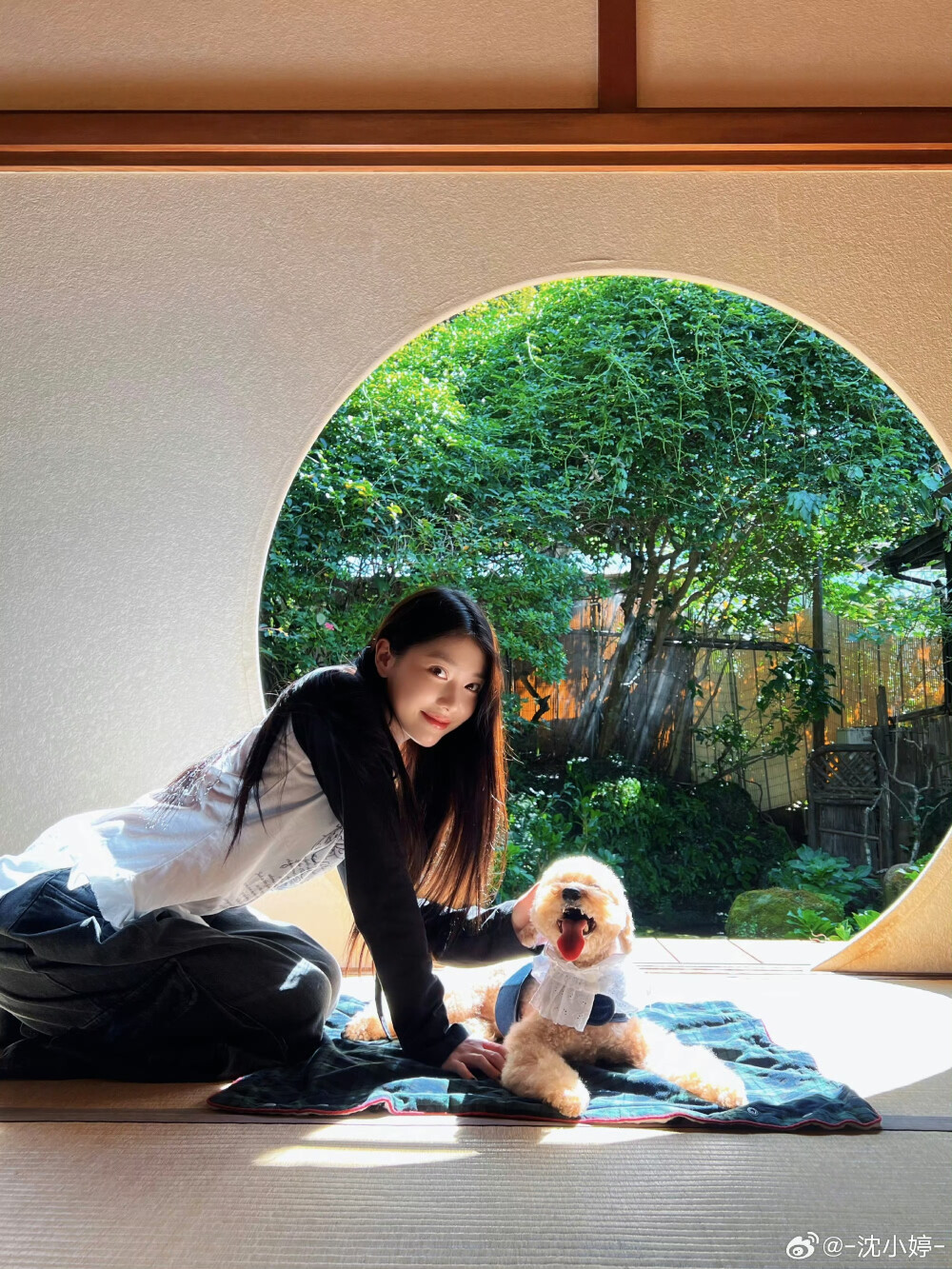 沈小婷