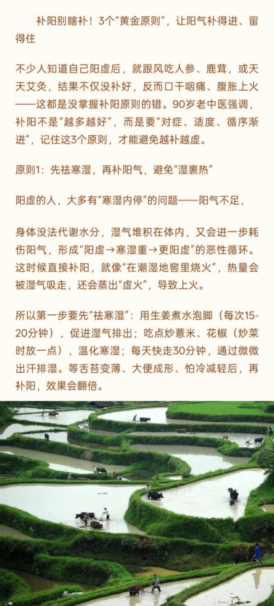 阳光健康～补阳气