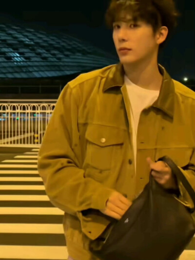 王安宇