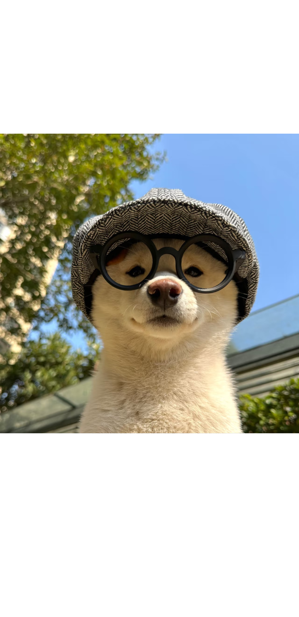 。