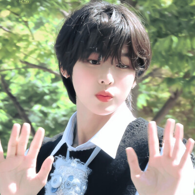 夏天将死的时候 我遇见了一只不会说爱的猫