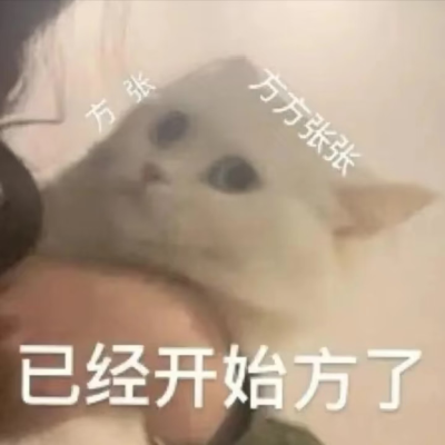 猫猫表情包
