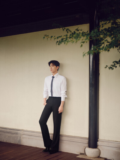 杨洋