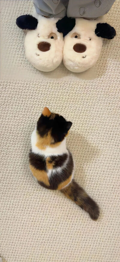 侵删