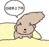 （＾ω＾）