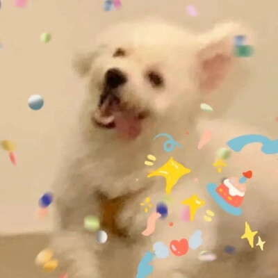 情头