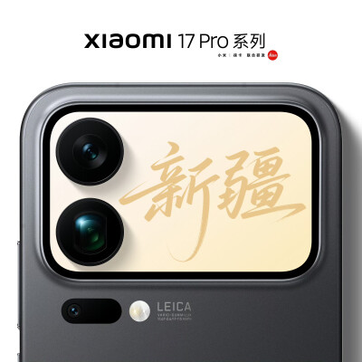 背屏上的中国之新疆