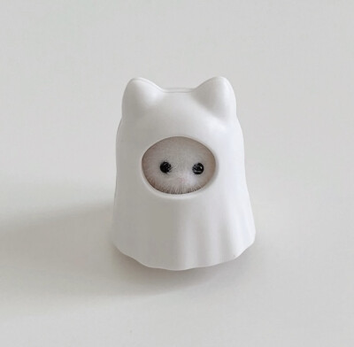 （＾ω＾）