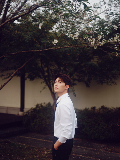 杨洋