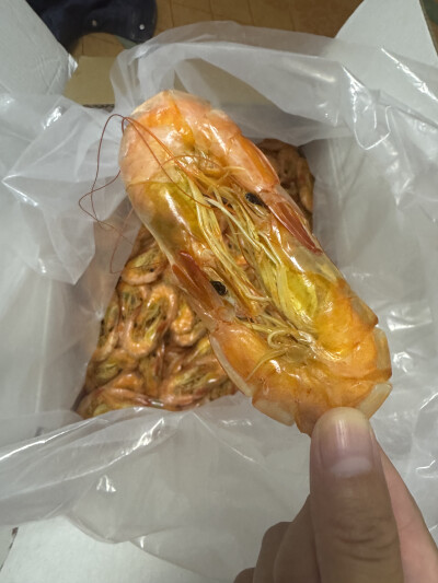 虾