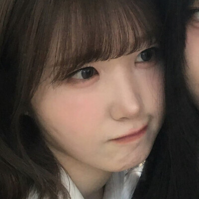 宝贝猪