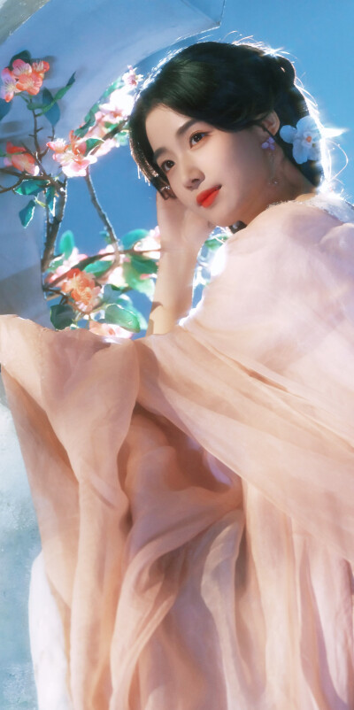 卢昱晓《入青云》明意