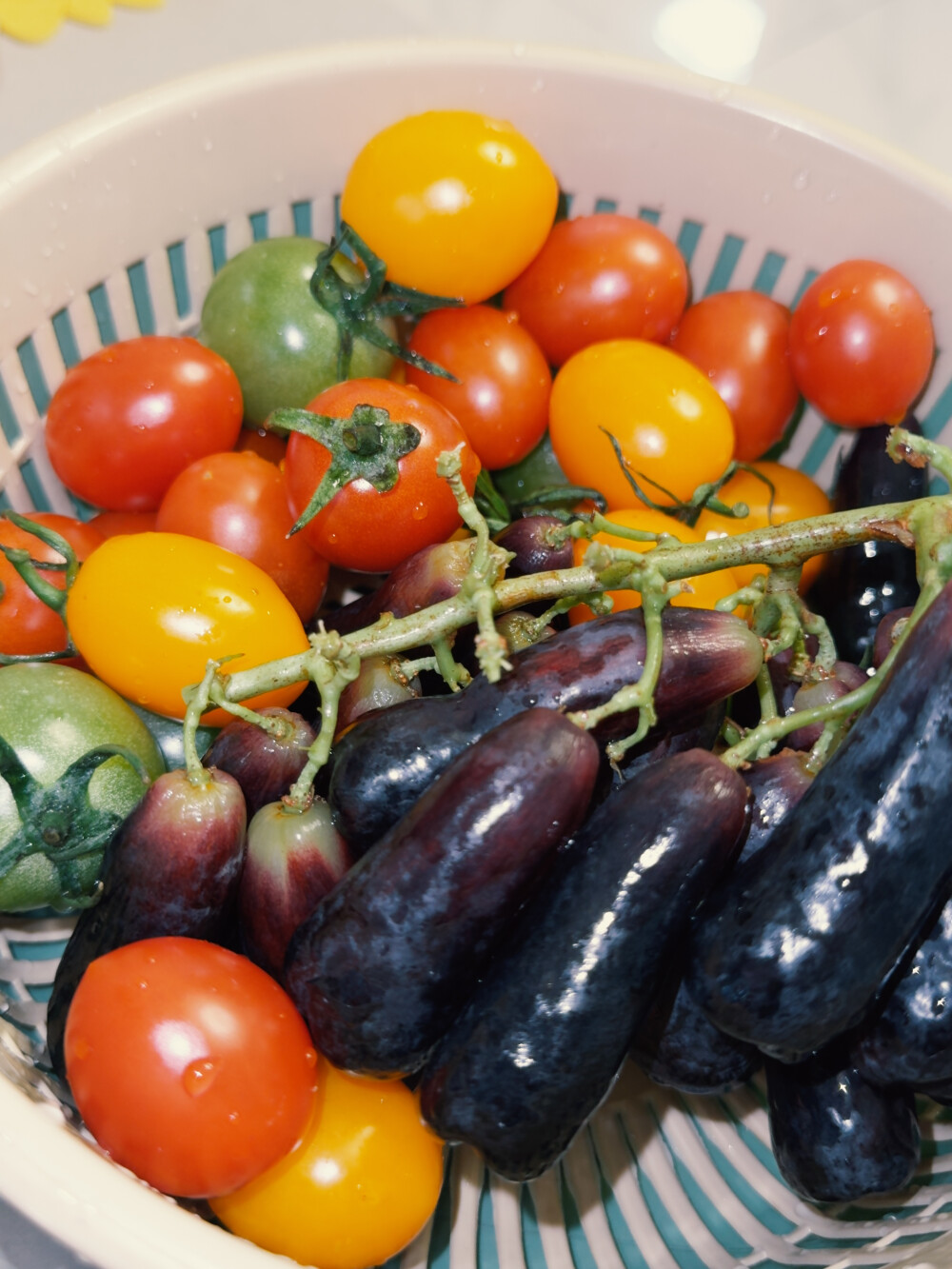 美好的宅家不要离我而去
