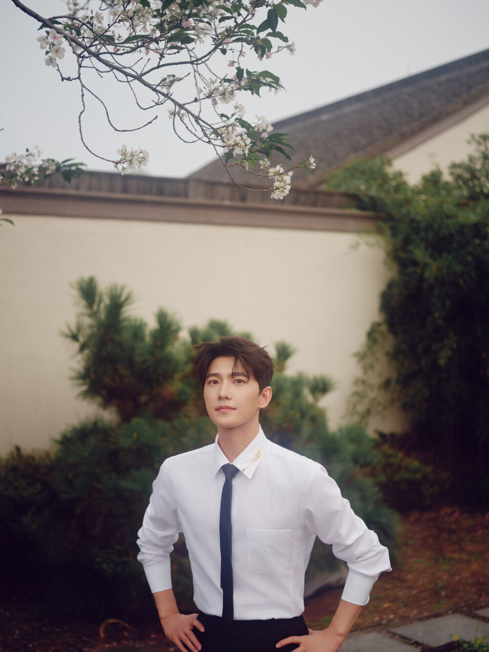 杨洋