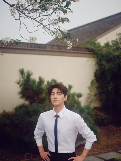 杨洋