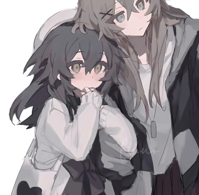 双女主（侵删）