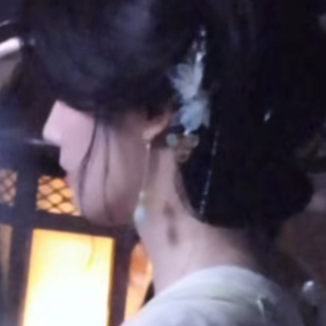 春之晓梦不觉恰似你我那年