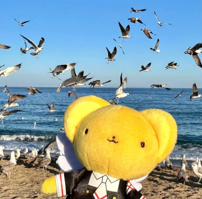 背景图