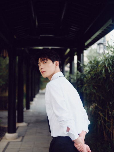 杨洋