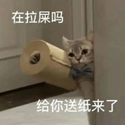 猫猫表情包