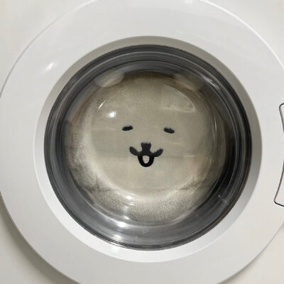自嘲熊头像