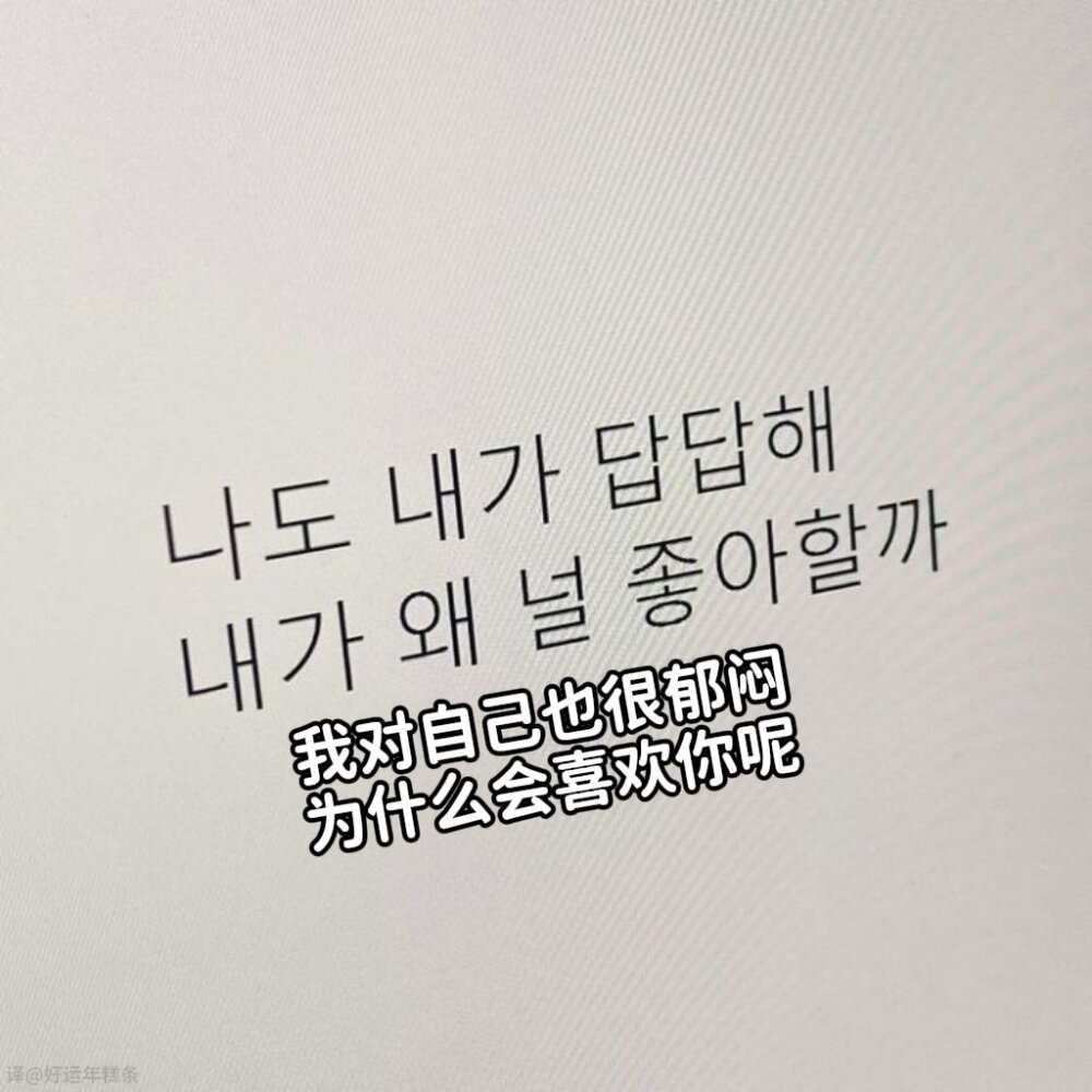 我喜欢的文字