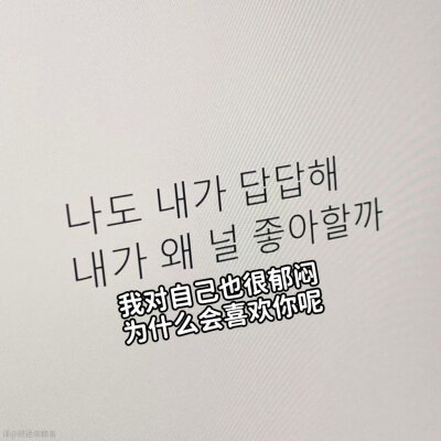 我喜欢的文字