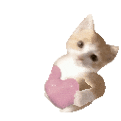 猫猫表情包