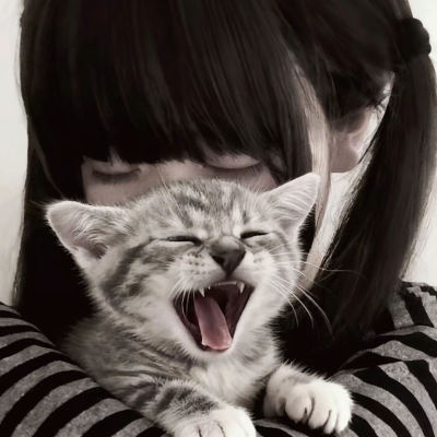 猫泪