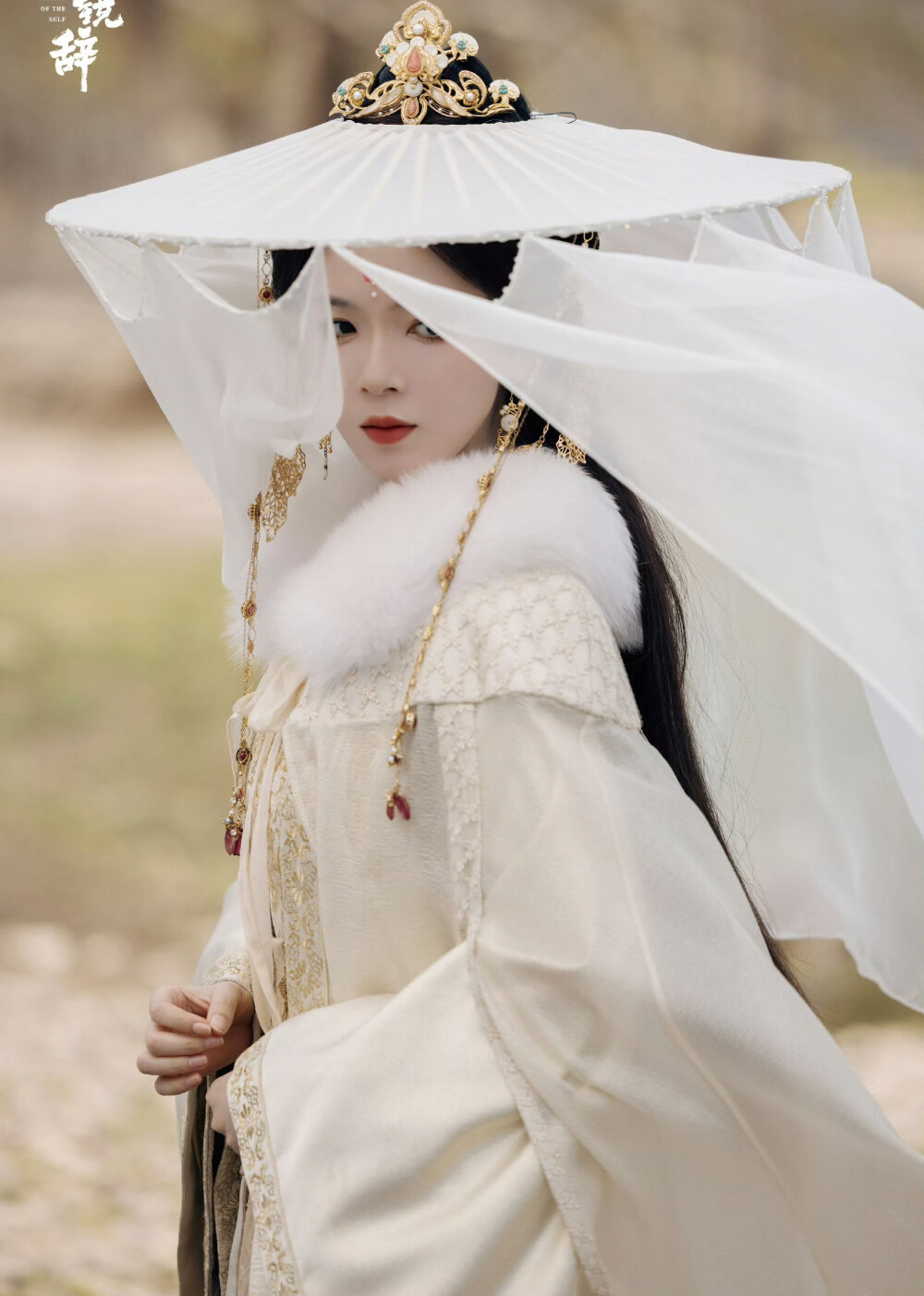 照镜辞
