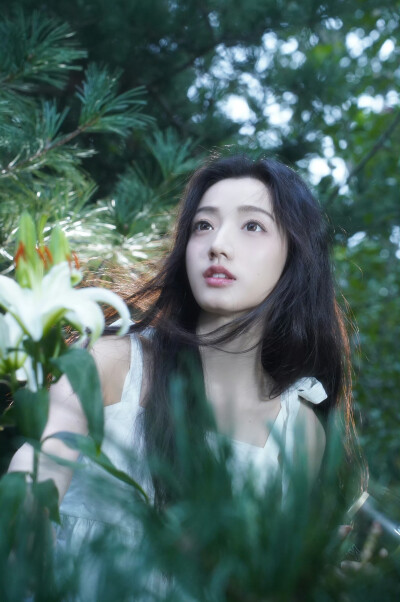 黄羿