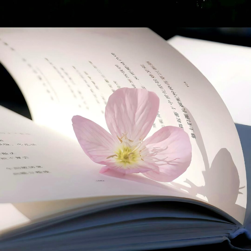 图源ks：偷喝汽水