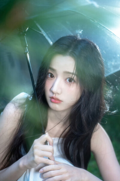 黄羿