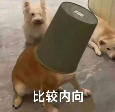 表情包