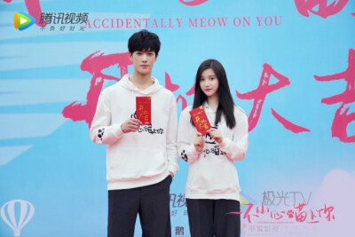 2020-12-15 一不小心喵上你