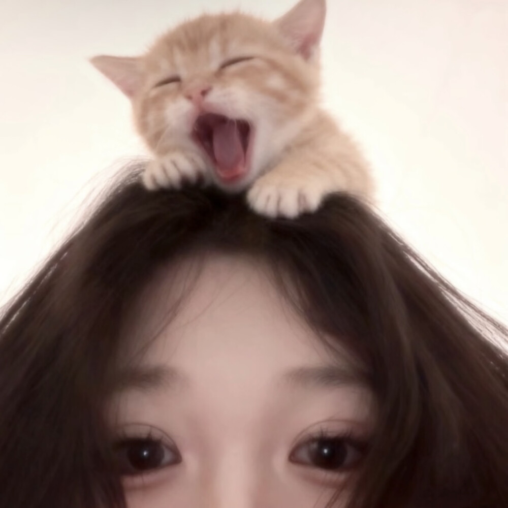 好看女头