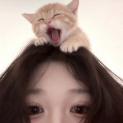 好看女头