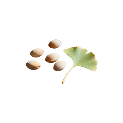 食物白底头像