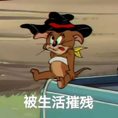 表情包