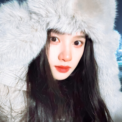 张婧仪