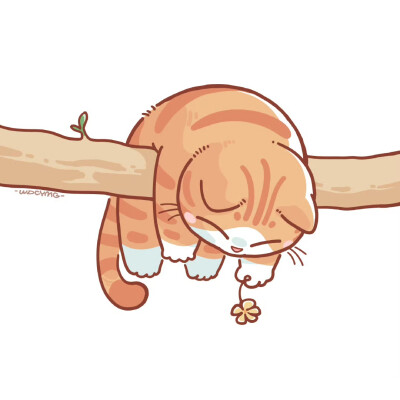 猫咪头像