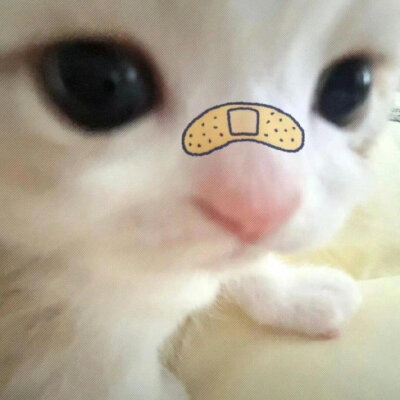 /