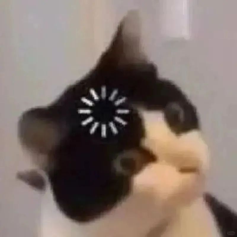 猫猫表情包