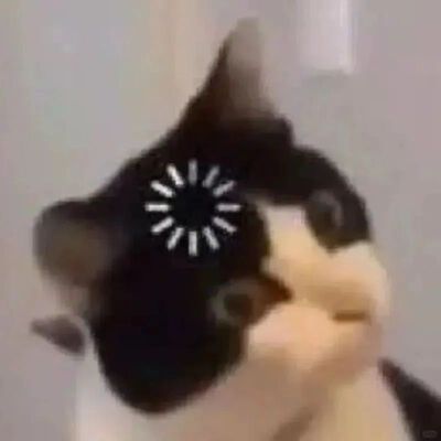 猫猫表情包