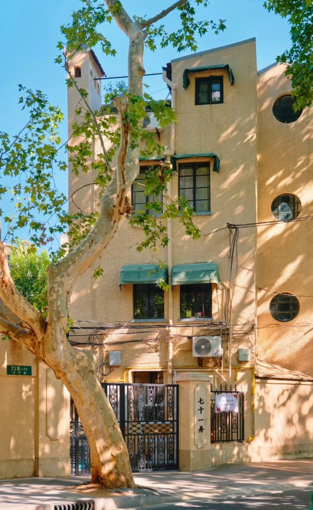  树影斑驳，阳光正好 … 