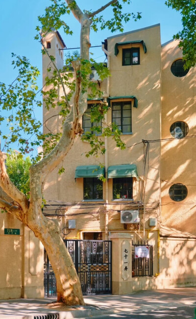  树影斑驳，阳光正好 … 