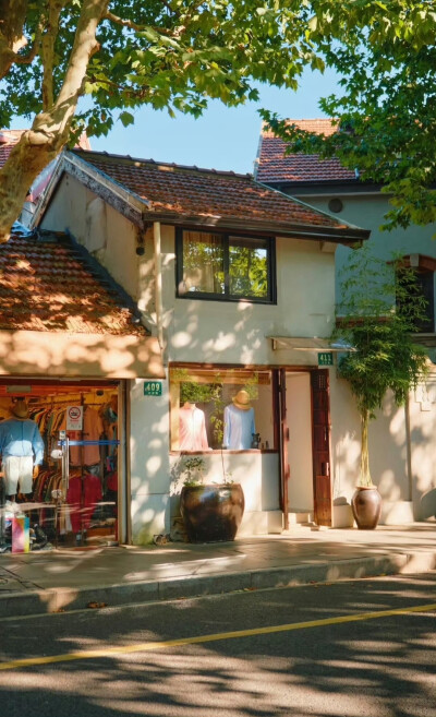  树影斑驳，阳光正好 … 