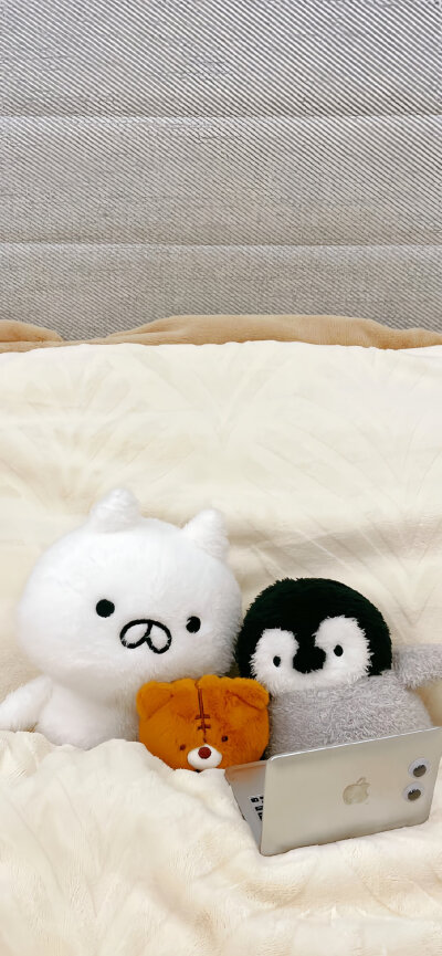 ins壁纸