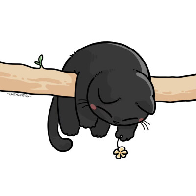猫咪头像